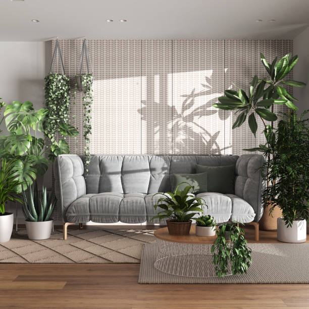 living room plant decor large indoor plant fiddle leaf fig olive tree